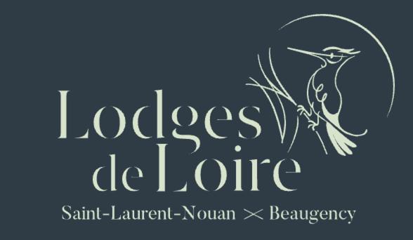 Appartamento Loft climatisé proche Chambord Saint-Laurent-Nouan Esterno foto